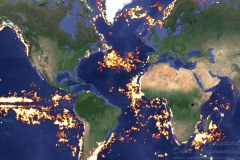 Google vai monitorar pesca ilegal