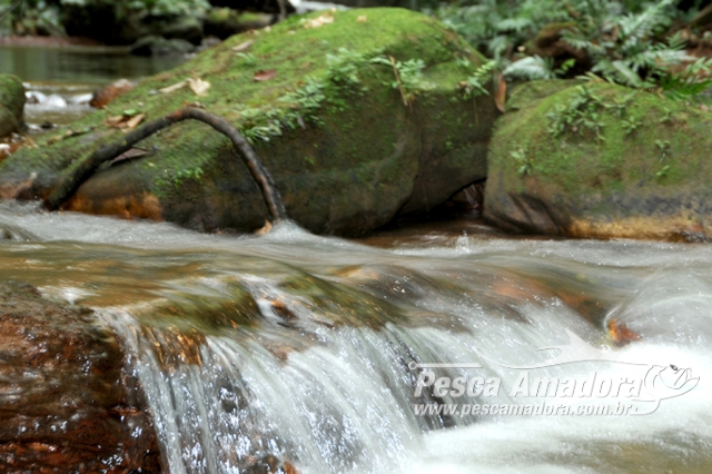 Governo do Tocantins vai investir R$ 3,6 milhões em recuperação de nascentes