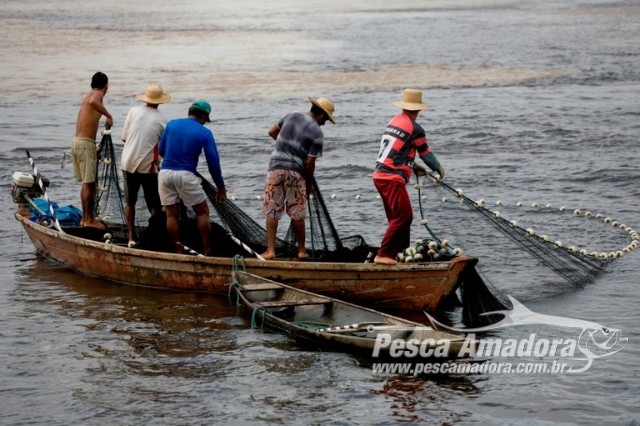 Governo pretende pagar auxílio do seguro-defeso apenas onde há interdição total da pesca
