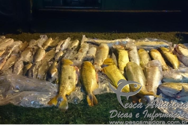 Grupo de brasileiros é preso por pesca predatória na Argentina