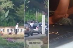 Grupo e flagrado praticando pesca ilegal no Lago do Orfeu em Braganca Paulista-SP