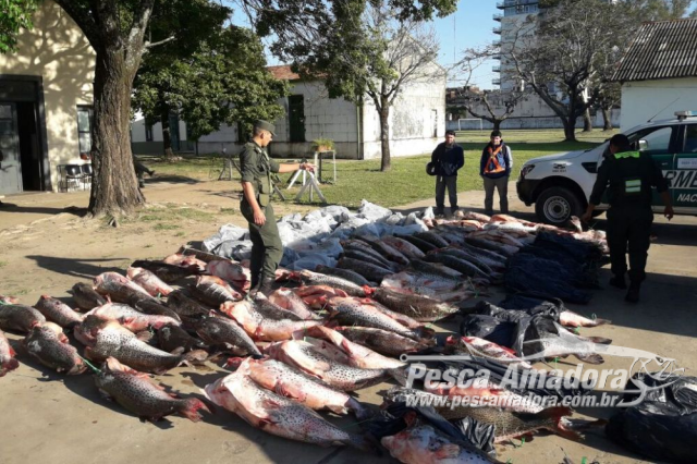 Policiais apreendem 2,2 toneladas de pescado ilegal em Corrientes (AR)