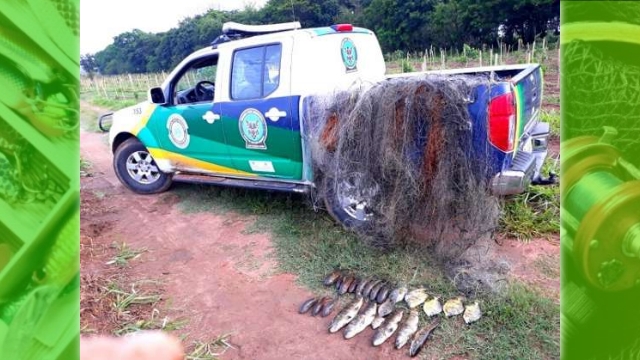 Guarda Ambiental flagra pesca ilegal no Rio Piracicaba em Santa Barbara D’oeste (SP)