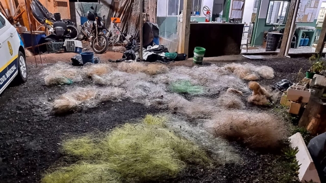 Guarda Ambiental flagra pesca irregular na Billings em São Bernardo (SP)