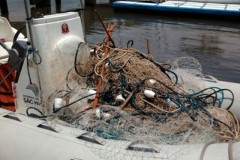 Guarda Costeira apreende rede em area de preservacao em Praia Grande-SP