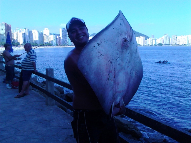 Pescador amador fisga arraia de 42 kg em São Vicente-SP