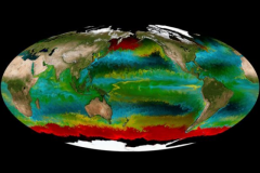 Havera mais peixes ou plastico nos oceanos em 2050 3