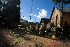 Hidreletrica no rio Tapajos 2