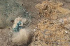 Homem e preso por pesca predatoria no Rio da Prata-MG 3