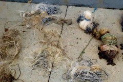 Homem e preso por pesca predatoria no Rio da Prata-MG