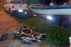 IAP apreende 120 kg de pescado ilegal nos Rio Paranapanema e Porto Rico no PR
