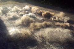 iap-apreende-materiais-de-pesca-e-orienta-pescadores-na-represa-do-capavari-no-pr