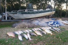 IAP aprende 800 m de redes e 60 kg de pescado ilegal no Parana 2