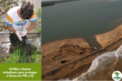 ICMBio divulga analise de contaminacao em peixes e crustaceos no Rio Doce 3