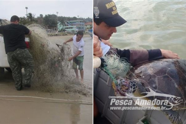 Ibama recolhe 12 redes de pesca e 3 tartarugas mortas na Foz do Rio Itapemirim-ES