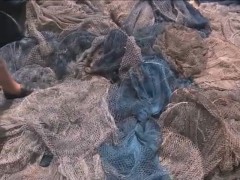 Ibama apreende 250kg de camarao em Rio Grande-RS 3