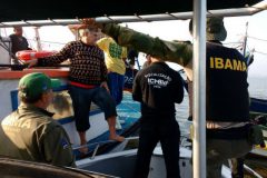 ibama-apreende-5-barcos-clandestinos-e-10-redes-de-arrasto-na-apa-de-guapimirim-rj