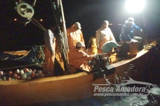 Ibama apreende atuneiro e 19 são presos por pesca ilegal na Baía de Sepetiba-RJ