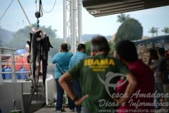 Ibama apreende carga de cacao azul em Itajai-RS