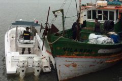 ibama-apreende-tres-barcos-ilegais-com-5-toneladas-de-peixe-em-itajai-sc