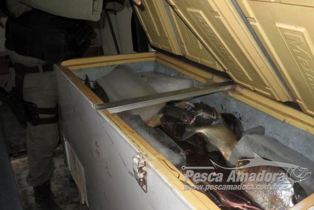 Ibama combate pesca ilegal e apreende 700kg de pescado em Altamira-PA