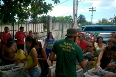 Ibama e ICMBio combatem desmatamento e pesca ilegal no litoral do RJ