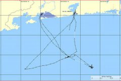 Ibama multa 32 barcos de frota atuneira que ameaca boto-cinza na Baia de Sepetiba-RJ 2