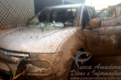 Ibama sofre emboscada em Rondonia ao tentar impedir desmatamento 02