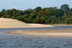 Icmbio e Ibama apreendem 3,2 toneladas de pescado ilegal no Para 2