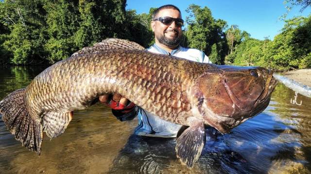 Ideflor-Bio regulamenta pesca esportiva nas Unidades de Conservação no Pará