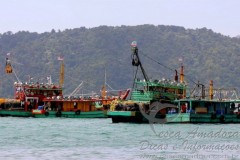 Indonesia declara ter afundado mais 34 barcos usados na pesca ilegal 2