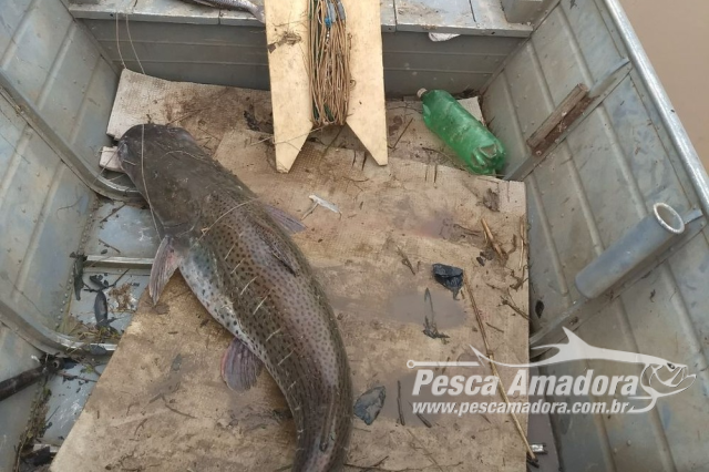 Infratores abandonam barco com pescado ilegal no Rio Aguapeí em Lucélia (SP)