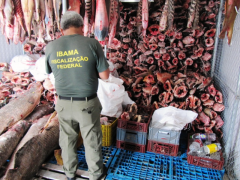 Inspecao rios da Amazonia