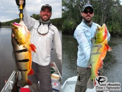 Tucunarés da Temporada 2012