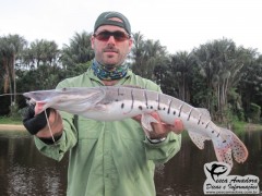 Wellerson Santana - Cachara Amazônia 2013