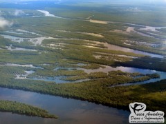 Rio Negro - Amazônia 2013
