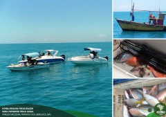 Instituto Chico Mendes fiscaliza pesca em Abrolhos
