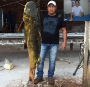 Jau de 60kg abatido no Mato Grosso do Sul
