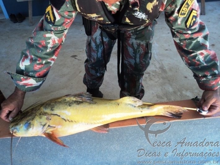 PMA prende dois por pesca predatória em MS