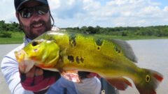 João Medeiros - História de Pescador