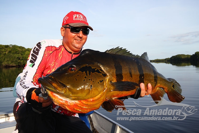 Governo alinha medidas para ordenamento da pesca do tucunaré no Amazonas