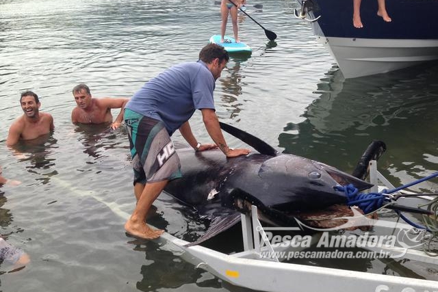 Fundamar – Fundação Marlin Azul - Ilha brasileira foi fechada para  visitação por ter cobras perigosíssimas cujo veneno derrete a carne humana