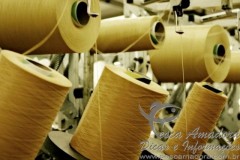 Kelly Slater lanca roupas feitas com redes de pesca 2