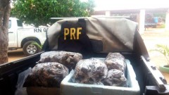 Lagosta apreendida pela PRF no Rio Grande do Norte