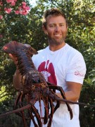 Lagosta de cerca de 70 anos