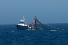 leonardo-dicaprio-apresenta-sistema-para-combater-a-pesca-ilegal-nos-oceanos-4