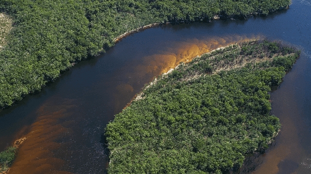MP-AM abre procedimento de investigação sobre suposta exploração ilegal de pesca no Amazonas e Roraima