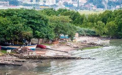 MPF pede demolicao de ranchos em Florianopolis-SC