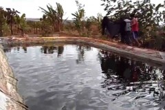 Mais de tres mil peixes ja foram resgatados no Rio Doce 2