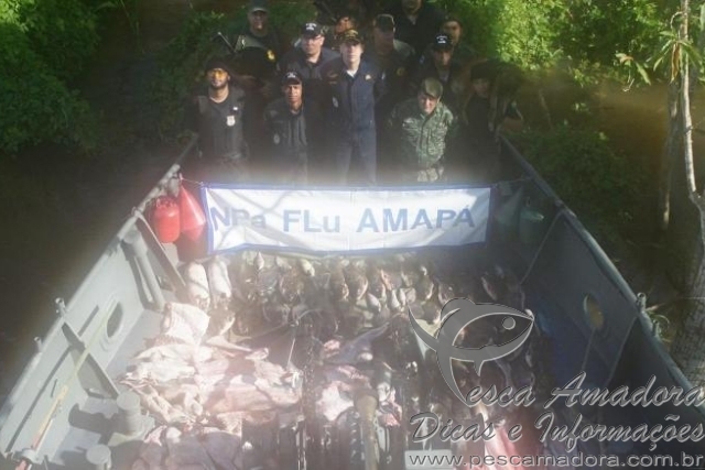 Marinha apreende animais silvestres, peixes e quelônios em Coari-AM